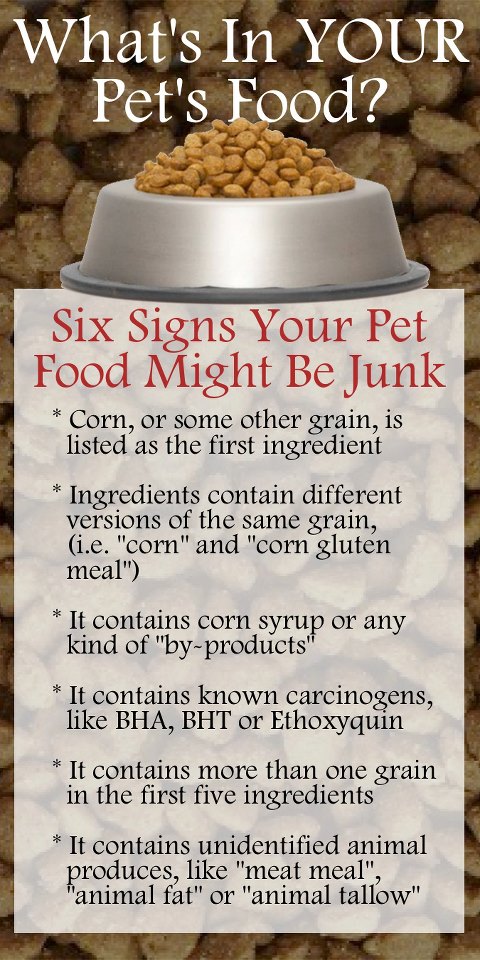 15075_10151351868402131_1890238310_n