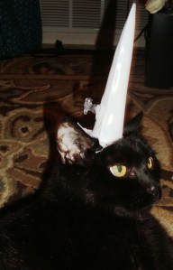Loki the Unicorn