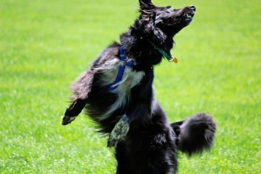 574439_10101554145776287_1840925325_n