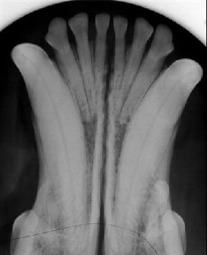 6c823e4e-7f00-0001-73e2-3d2b860a0bad