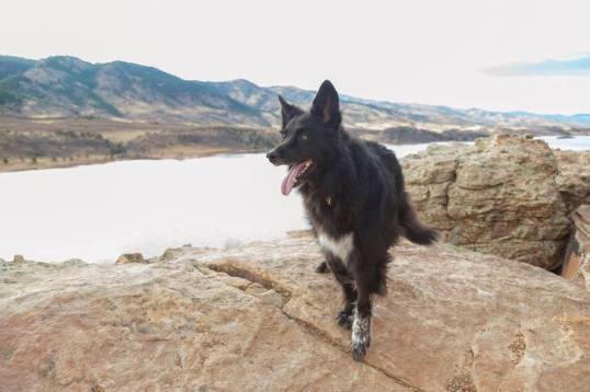 17554545_10106559591962007_3354303053140205942_n